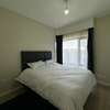 Furnished 2 Bed Apartment with En Suite in Riverside thumb 9