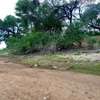 720 acres of virgin along the river kibwezi Makueni County thumb 3