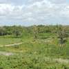1,012 m² Residential Land at Diani Beach Road thumb 21