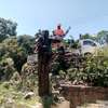 Tree Cutting, Pruning & Trimming | Landscaping & Gardening Services.Call us today! thumb 2
