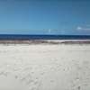 50-Acre Beach Plot For Sale in Bofa/Kilifi thumb 1