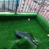 Artificial Grass Carpet helps you achieve uniqueness thumb 1