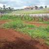 0.5 ac residential land for sale in Runda thumb 8