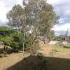 5 acres for sale in Bogani Karen thumb 0