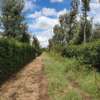 21 acres  Located at Cianda Near Ngorongo Tea Factory thumb 1