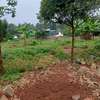 50*100ft Commercial plots for sale at Kenol town thumb 2