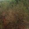 3,000 Acres Is Available For Lease In Kambu Makueni County thumb 1
