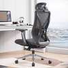 Office Chair: Good Posture Orthopedic High Mesh Back Chair thumb 1