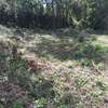 Lovely Quarter ( 1 / 4 ) Acre Land in Ngong thumb 9