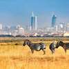 Nairobi National Park Half Day thumb 9