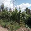 Residential Land at Isiolo Road thumb 4