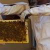 Beekeeping Service | From hive installation to honey harvesting, we provide everything that makes home beekeeping a simply beautiful pleasure for you.Call Us for Information thumb 4