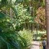 4 Bed House with En Suite in Diani thumb 3