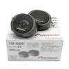 Pioneer TS-S20 Tweeter (2pcs)+FREE 6 Way Extension Cable thumb 1