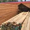 Wood timber thumb 2