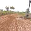 0.25 ac Residential Land at Diani Beach Road thumb 9
