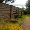 5 Bed House with En Suite in Ngong thumb 23