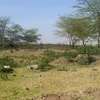 0.25 ac Land in Langata thumb 4