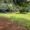 land for sale in Westlands Area thumb 9