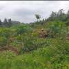 0.5 ac Land at Loresho thumb 2
