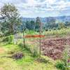 0.05 ha Residential Land at Muthiga thumb 1
