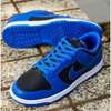 Nike SB low cut
37-45
 with extra laces thumb 1