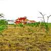 Prime Residential plots for sale Mwalimu Farm Ruiru-1/4acre thumb 3