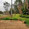 4 Bed House with En Suite at Lavington thumb 15