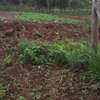 486 m² Residential Land in Ngong thumb 1