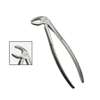 lower premolar forceps  price in nairobi,kenya thumb 2