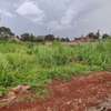 0.25 ac Commercial Land in Thika Road thumb 5
