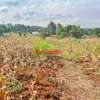 0.05 ha Residential Land in Kamangu thumb 0