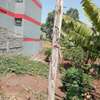 0.125 ac Residential Land at Kenyatta Road thumb 0