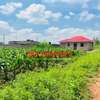 0.05 ha Residential Land in Kamangu thumb 5