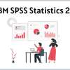 IBM SPSS Statistics 27 thumb 0