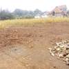 Residential Land at Lions Eye Loresho thumb 4