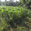 1000 m² residential land for sale in Ngong thumb 6