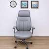 Office Chair: Managers Experience High back Office Chair thumb 2