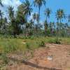 Prime Tropical Land Plot Cleared for Building thumb 5
