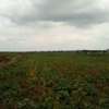 Land at Nanyuki-Rumuruti Rd thumb 5