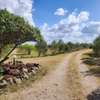 Ostrich farm plots on sale in Kitengela thumb 2