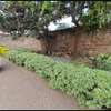 10 Bed Apartment with Parking in Pangani thumb 5