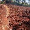 40X80ft PLOTS FOR SALE AT KENOL TOWN JUST BEHIND MAGUNAS thumb 1