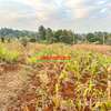0.05 ha Residential Land in Kamangu thumb 1