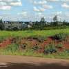 0.125 ac Commercial Land at Ruiru - Mugutha ( Kabogo) Road thumb 3