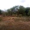 153 Acres of Land For Sale in Ngatateak - Namanga Rd thumb 1