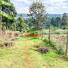 0.05 ha Residential Land at Muthiga thumb 4