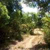 10 Acres Available For Sale in Malindi thumb 0
