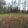 0.5 ac Residential Land in Ngong thumb 3