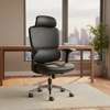 Executive Chairs : High-back Executive Office Chair thumb 1